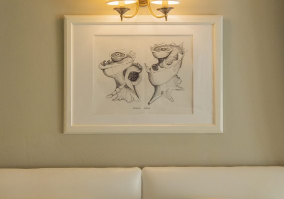 ΣΟΥΠΕΡΙΟΡ ΣΤΟΥΝΤΙΟ